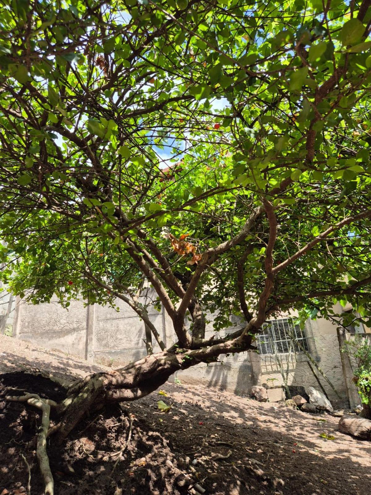 Pousada Verde Villas Brumadinho Dış mekan fotoğraf