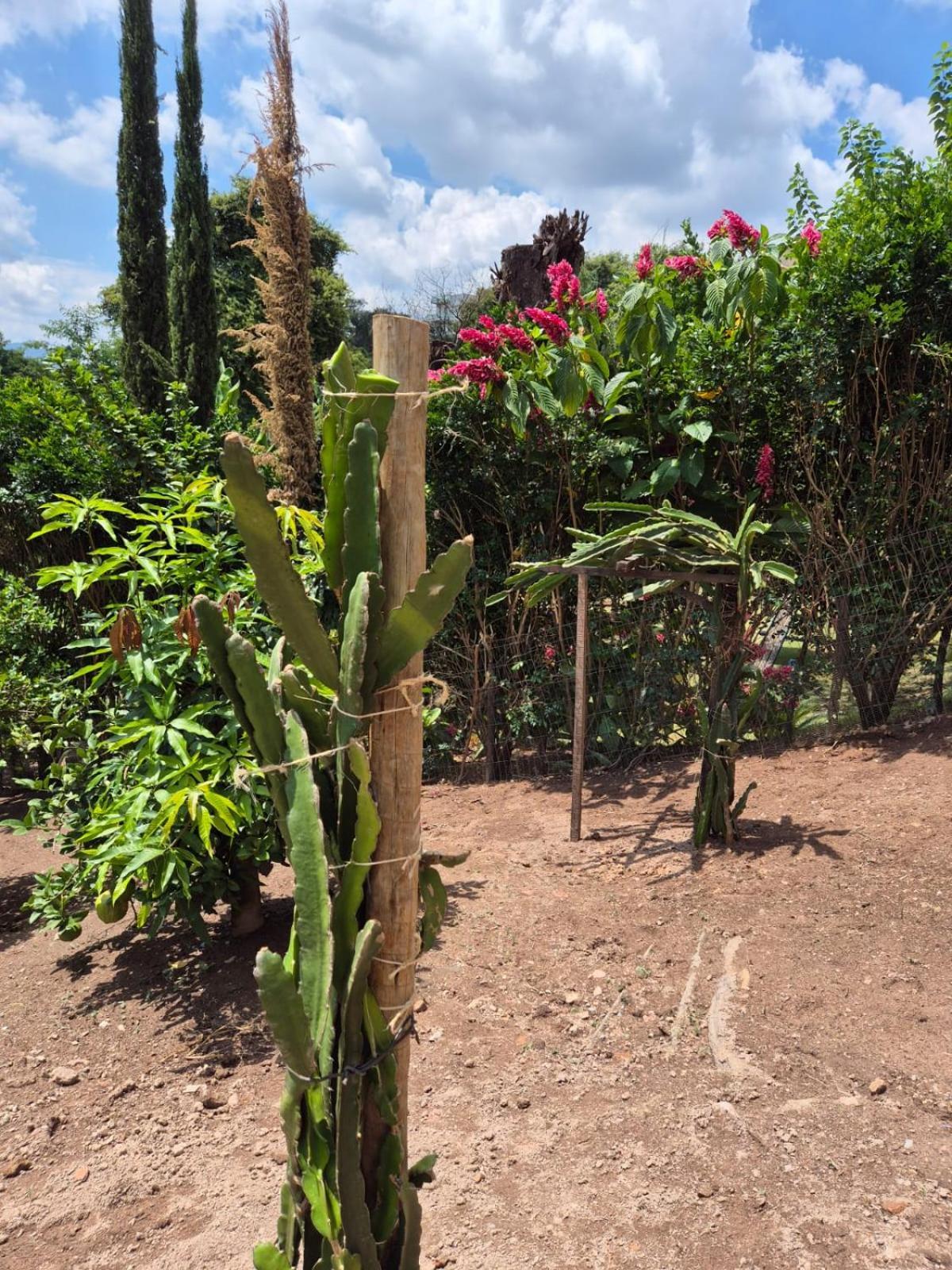 Pousada Verde Villas Brumadinho Dış mekan fotoğraf
